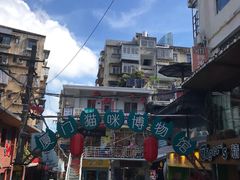 -猫咪博物馆(顶澳仔猫街店)