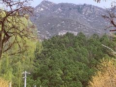 -大岭沟猕猴桃谷风景区
