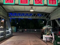 -武汉知音号