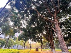 -厦门大学(思明校区)