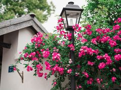 -颐和路民国时期公馆-风貌区