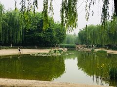 -丰台科技园生态主题公园