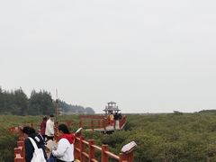 -北海金海湾红树林生态旅游区