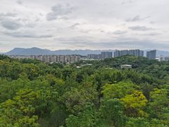 -飞凤山奥体公园