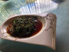 -西双版纳原始森林公园