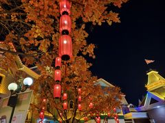 -沈阳方特欢乐世界