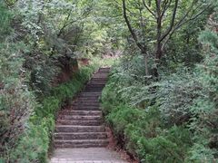 -玉华宫景区