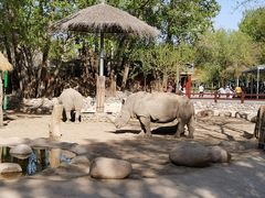 -北京野生动物园