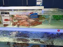 -盒马X会员店(上海森兰商都店)