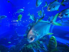 -成都浩海立方海洋公园