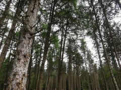 -硗碛藏寨·神木垒景区