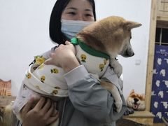 -猫色咖啡·猫咖