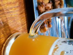 -汉森熊啤酒屋(双塘东路店)