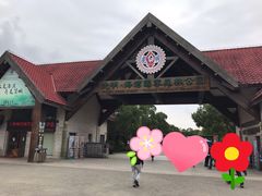 -上海海湾国家森林公园