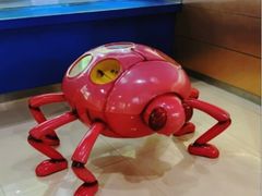 -上海昆虫博物馆