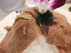 -大熊猫毛肚火锅(烟台万象汇店)