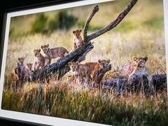 -罗红摄影艺术馆