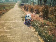 -黄色小屋