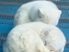 -泉城欧乐堡海洋极地世界