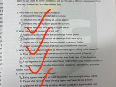 -新航道雅思托福·留学·考研培训(人民广场校区)