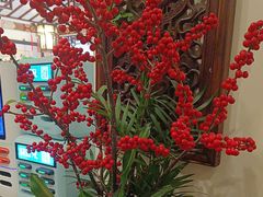 -山水茶艺馆·点心粤菜·30年老字号