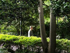 -中山公园