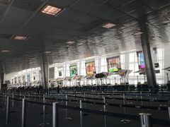 -纽瓦克自由国际机场