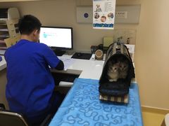 -芭比堂动物医院·犬猫全科·异宠专科(雁塔分院)