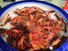 -新世纪绿洲(抚顺店)