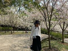 -南山植物园
