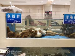 水产区-双井轩(双井店)