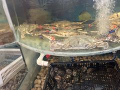 -鑫渔港海鲜本地菜·山海关浑锅(东戴河店)