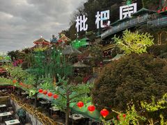 -枇杷园食为鲜火锅(南山店)