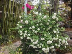 -小仙居·农家宴烤羊· 农庄