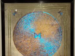 -上海昆虫博物馆