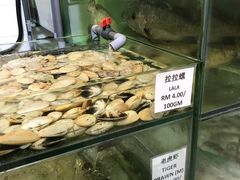 -兴旺海鲜砂煲王