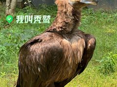 -苏州上方山国家森林公园