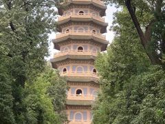 -灵谷景区