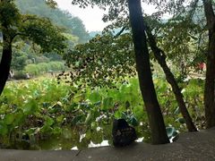 -韶山毛泽东同志故居