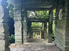 -南山植物园