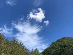 -秦岭风景区