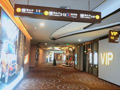 -万达影城(汉街万达广场IMAX店)