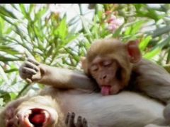 -可斯贝莉现烤面包·生日蛋糕(假日商城店)