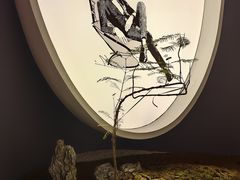 -宝盖头家居生活馆