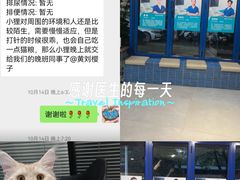 -伟伟宠物医院·CT影像中心·瑞派犬猫综合性门诊(汉口总院)