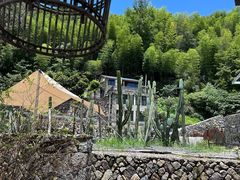 -MOJ coffee(瓯海泽雅水碓坑店)