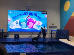 -Mr·Kuma酷么先生雪之乐园