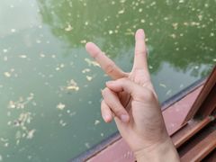 -济南大明湖景区