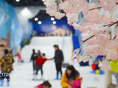 -Mr·Kuma酷么先生雪之乐园
