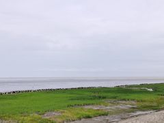-南汇嘴观海公园